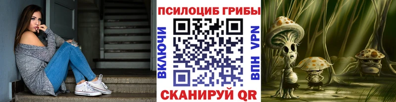 ссылка на мегу ссылки  Апатиты  Псилоцибиновые грибы GOLDEN TEACHER 