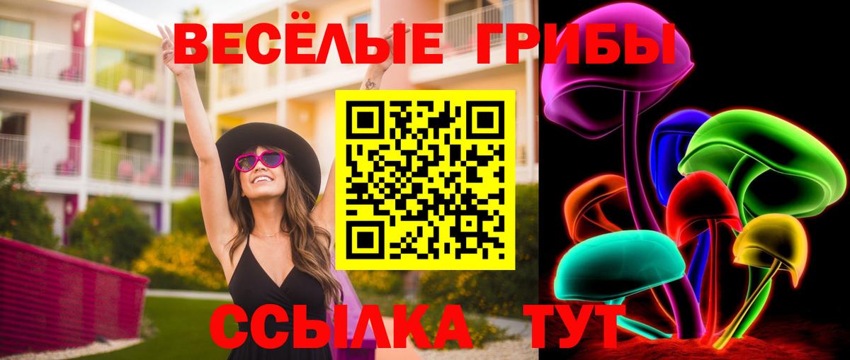 Апатиты  Псилоцибиновые грибы Psilocybe  Вход с VPN 