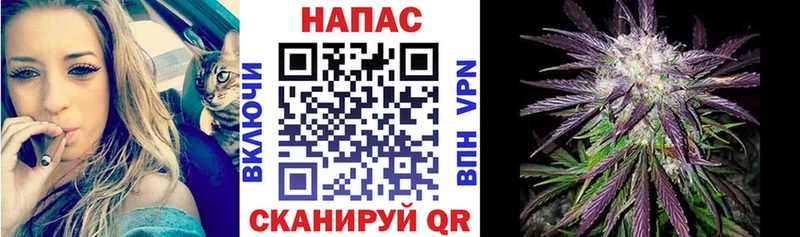 Конопля конопля  наркота  omg ссылки  Апатиты 