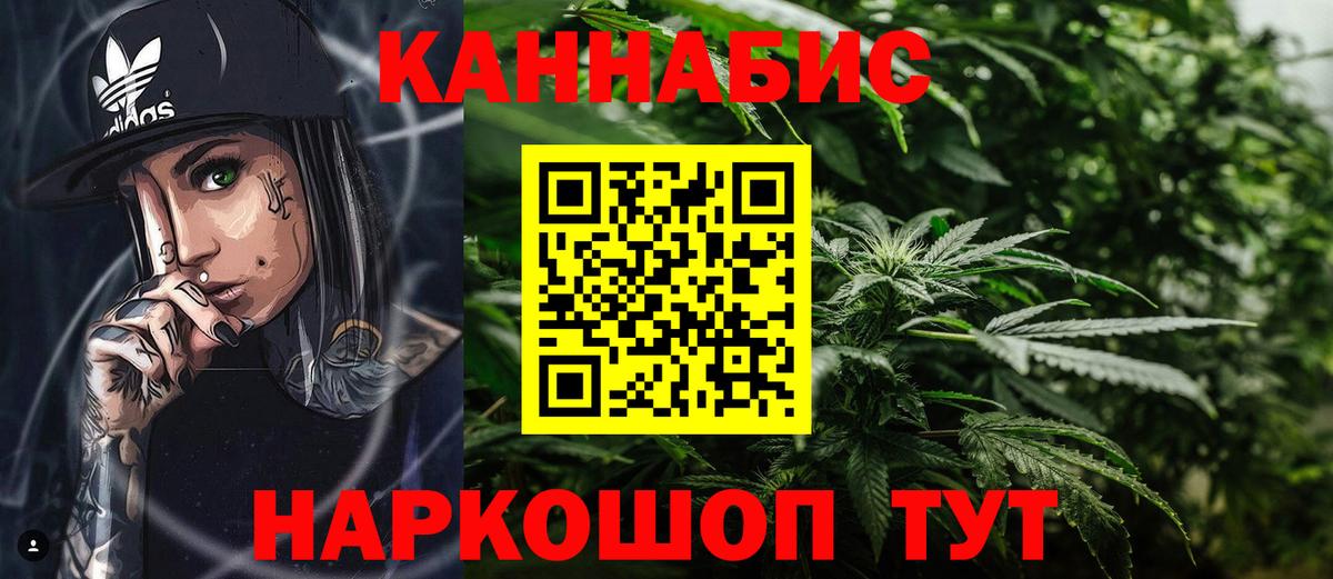 Конопля индика Апатиты
